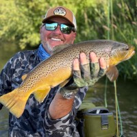 Bob Newbold Email & Phone Number