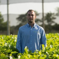 Investancia Employee Humberto Pagliosa's profile photo