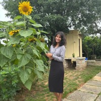 Agent.ai Inc Employee Rashmi Singh's profile photo