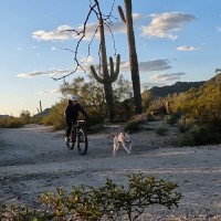 Cynthia Hull Email & Phone Number