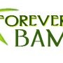 Forever Bamboo Employee Forever Bamboo's profile photo