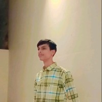 Mehta Websolution Employee Mehul Dhanvani's profile photo