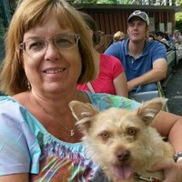 Abilities in Motion Employee Cathy Yutko's profile photo