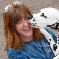 Alpha Circuit I LLC Employee Dawn McConnell's profile photo