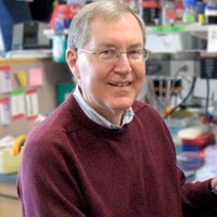 David Knipe Email & Phone Number