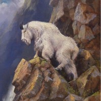 Brian Perkins Email & Phone Number