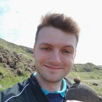 Bailey Higgins Email