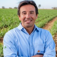 Flavio Serebrinic Email