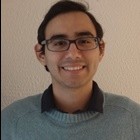 Carlos Viche Email