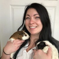 Cassandra Hill Email & Phone Number