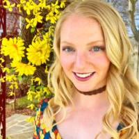 Vernon-Verona-Sherrill Senior High School Employee Kaitlyn Fortier's profile photo