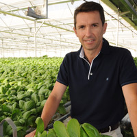 Primaflor Employee Juan Antonio Jimenez's profile photo
