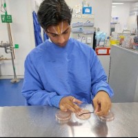 Pranav Sathyan Email