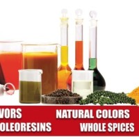 BOS Natural Flavors Limited Employee Ashly Eldhose's profile photo