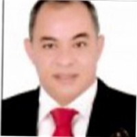 American International Contractors, Inc. Employee Nagy Gayed's profile photo