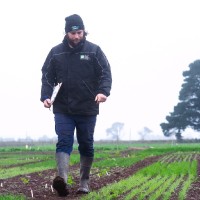 DLF Seeds Australia - Careers Employee Liam Deneefe's profile photo
