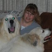Brenda Natale Email & Phone Number