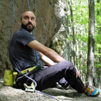 Daniele Festa Email