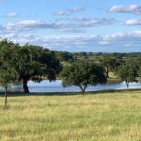 San Antonio Behavioral Healthcare Hospital Employee Karen Irvine's profile photo