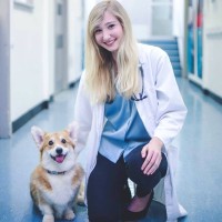 VCA Animal Hospitals Employee Emma Cannon's profile photo