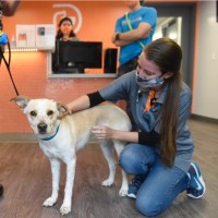 Red Barn Dog Holdings, LLC Employee Colleen Maxham's profile photo