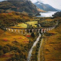 Luigi Sorrentino Email & Phone Number