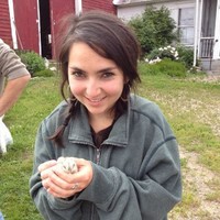 Laura Dailey Email & Phone Number