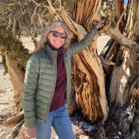 California Native Plant Society Employee Liv O'Keeffe's profile photo
