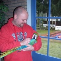 Jeroen Cools Email & Phone Number