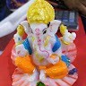 Shanku's Bio-Sciences Employee Gajjar Pradip's profile photo
