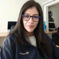 Instituto Geográfico Agustín Codazzi (IGAC) Employee Julia Isabel Villegas Martínez's profile photo
