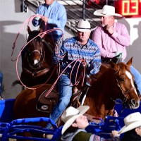 DH Tech Employee Dominique Heger's profile photo