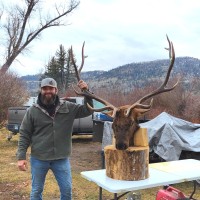 Cole Witteman Email & Phone Number