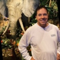 Todd Stringer Email & Phone Number