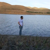 NAS Employee Abedin نورانی's profile photo