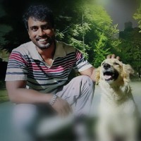 Pelocal Fintech Private Limited Employee Vimal Lal's profile photo