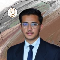 Shayan Satti
